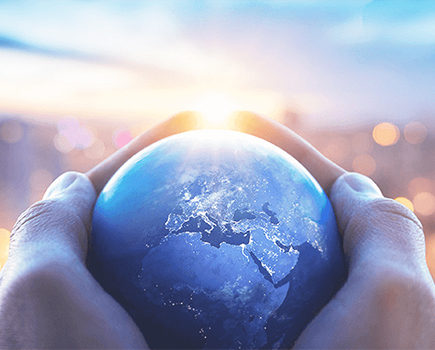 全网担保网资本